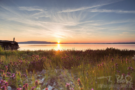 Sonnenuntergang Reichenau