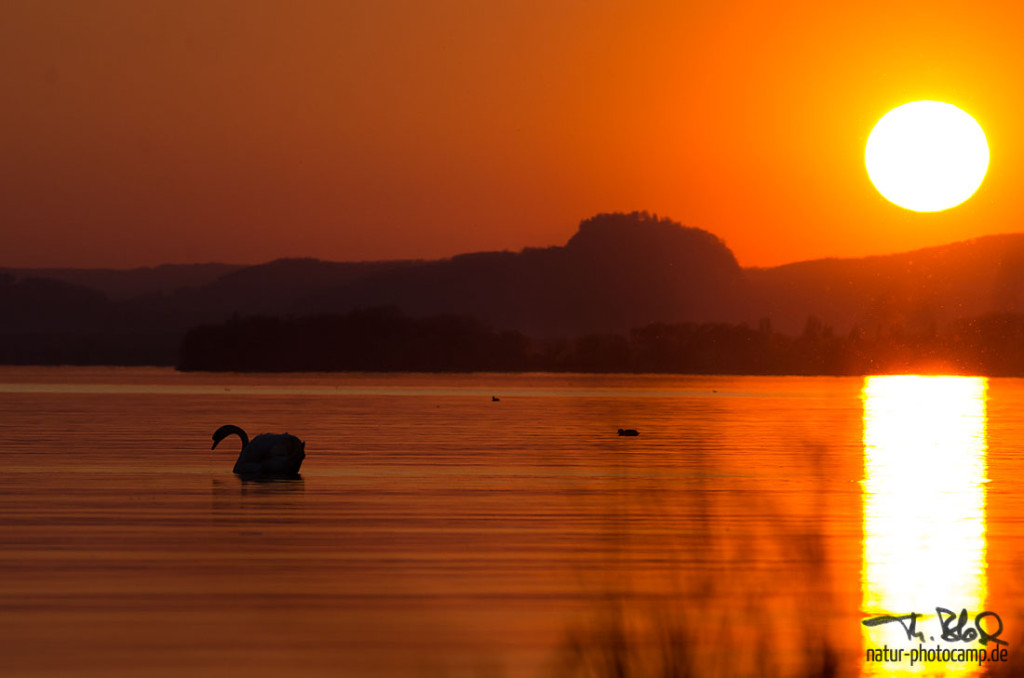 Sonnenuntergang am Gnadensee