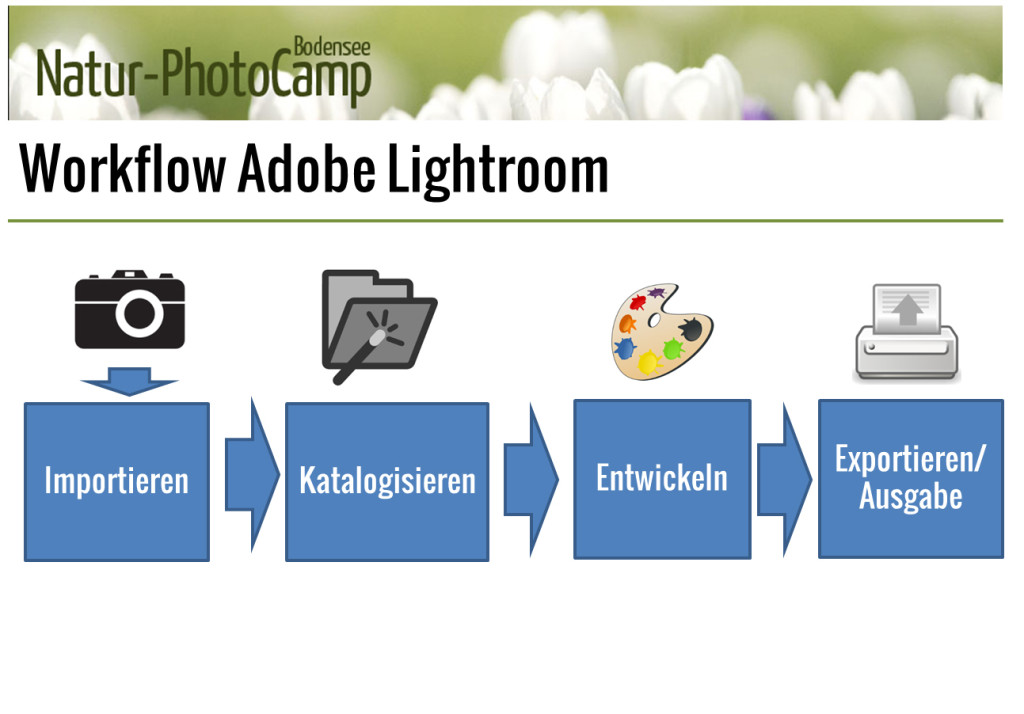 workflow_LR