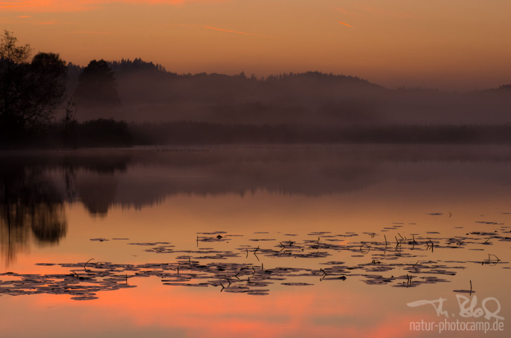 Herbstnebel über dem See