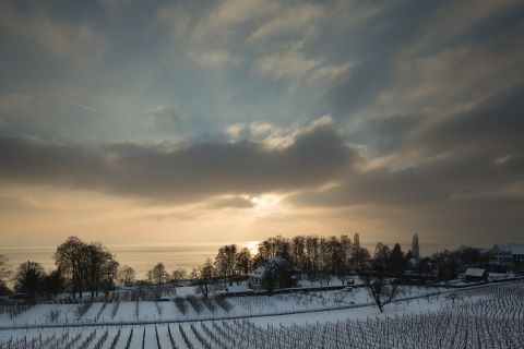 Adobe Lightroom Preset Winterwolken