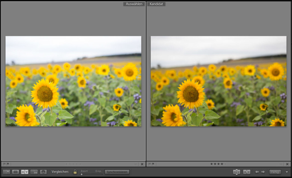 Lightroom Vergleichsansicht