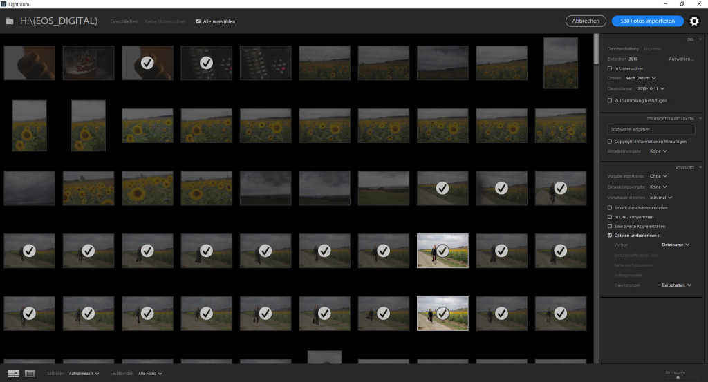 Lightroom Import Screen